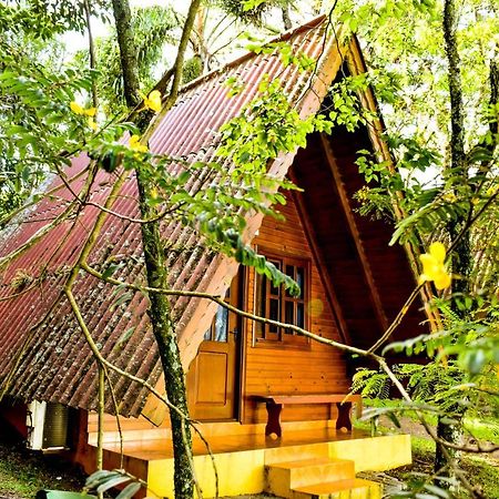 Hotel Vila Dos Alpes Treze Tílias Exterior foto